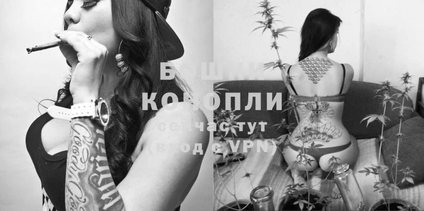 гидра Дмитровск