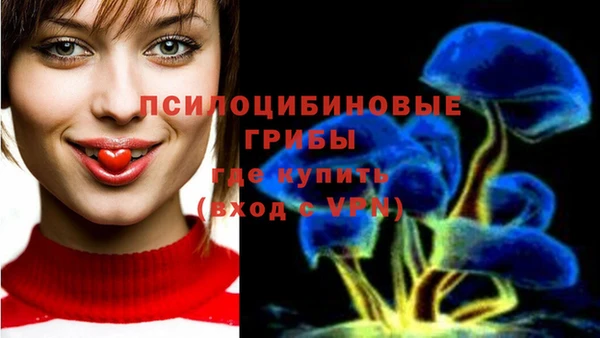 дживик Верхний Тагил