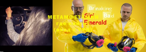 дживик Верхний Тагил