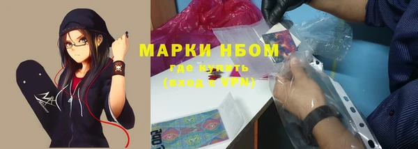 дживик Верхний Тагил