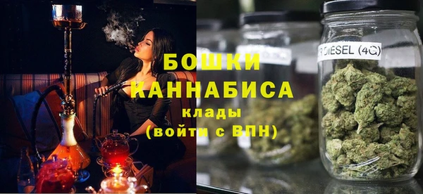 дживик Верхний Тагил