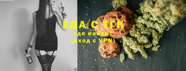 дживик Верхний Тагил