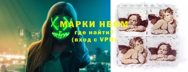 дживик Верхний Тагил