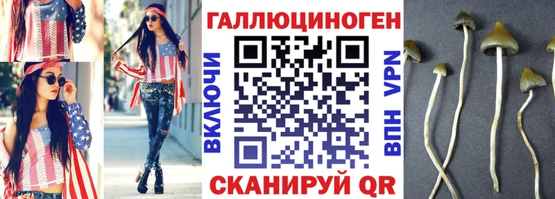 маркетплейс как зайти  Лосино-Петровский  Псилоцибиновые грибы Cubensis 